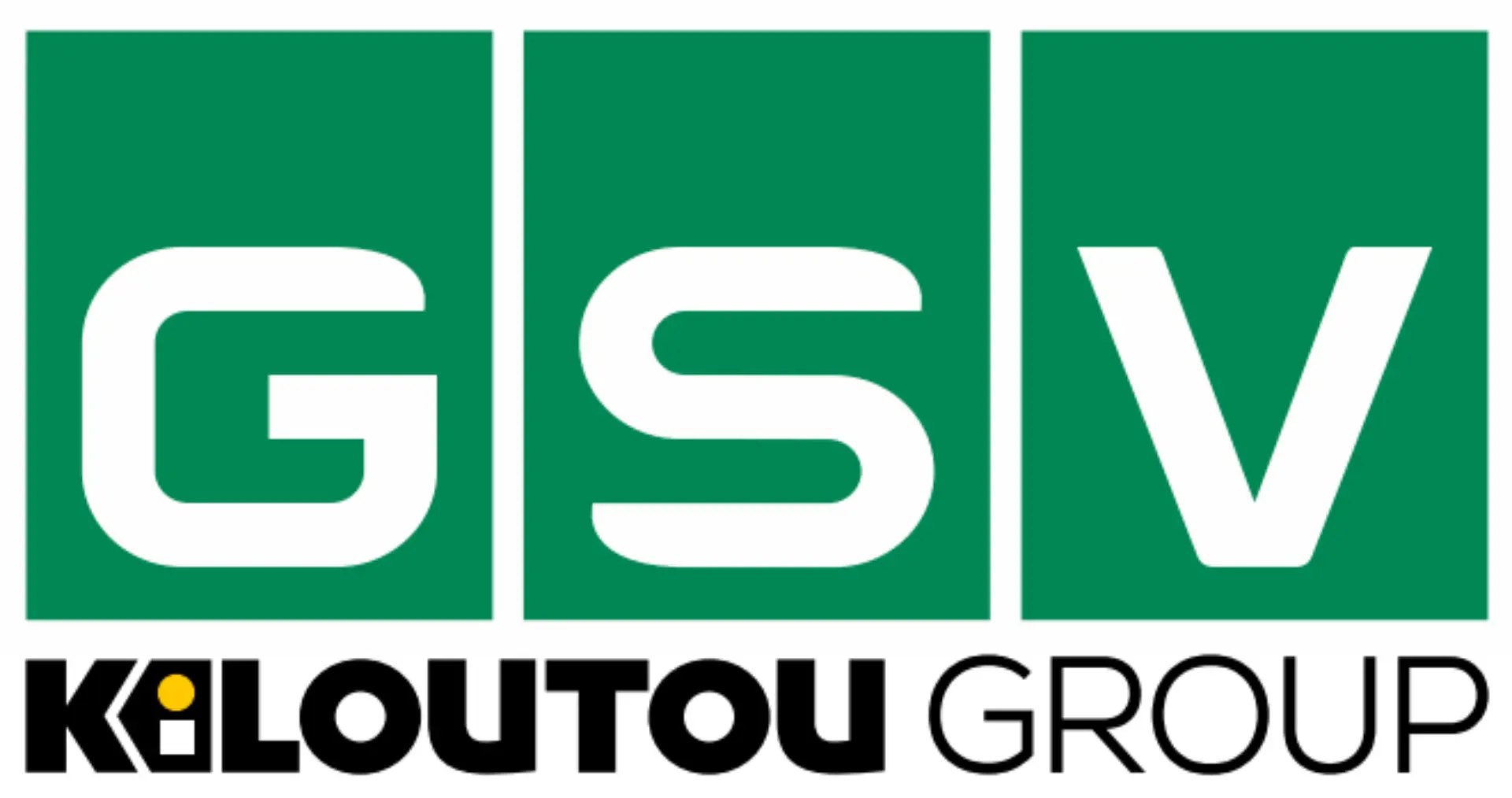 GSV Solutions logo